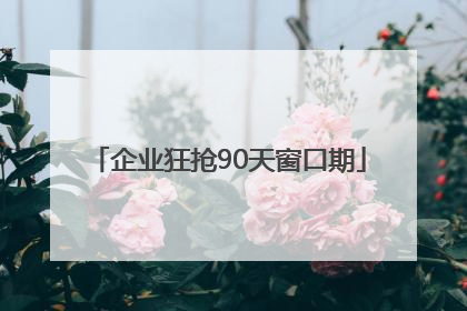 企业狂抢90天窗口期